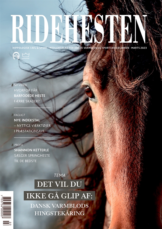 Ridehesten - Marts
